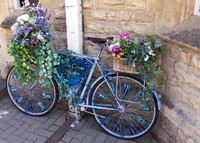 Click for a larger image of Blue Bicycle